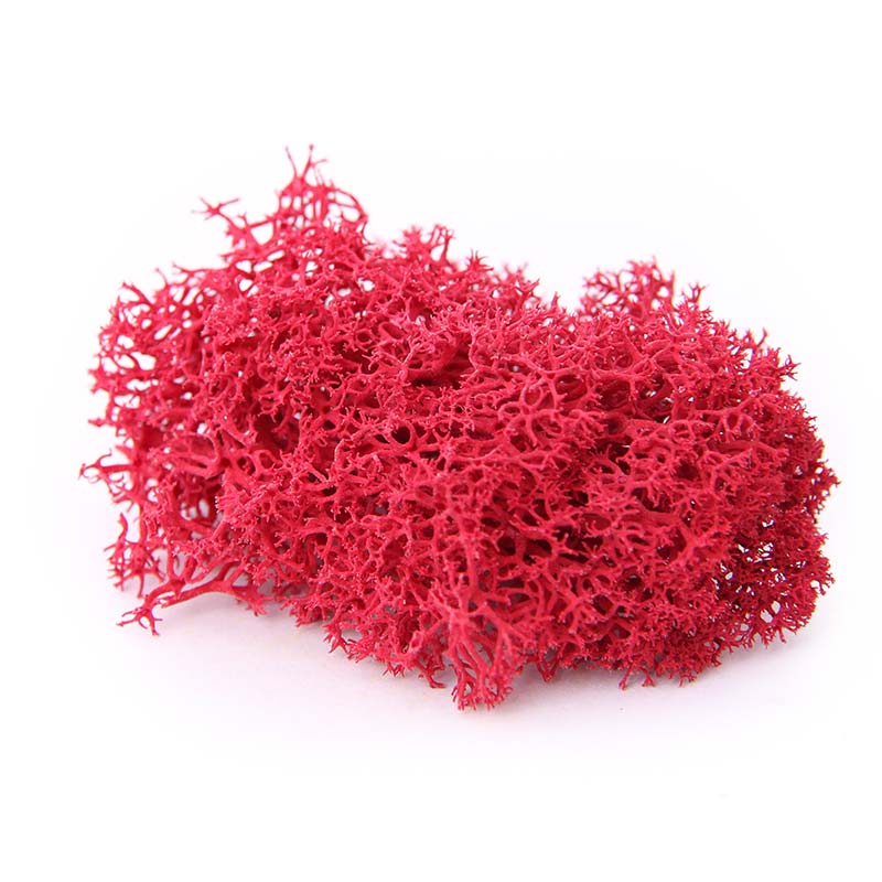 Schallabsorber ruin rot