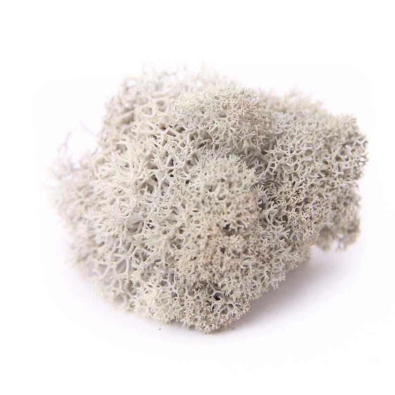 Schallabsorber Moos granitfarbend